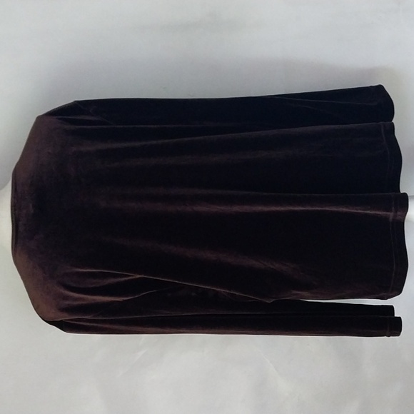 COLDWATER CREEK Brown Velvet Tunic Crew Neck Long Sleeve Top Size Large - Picture 8 of 16